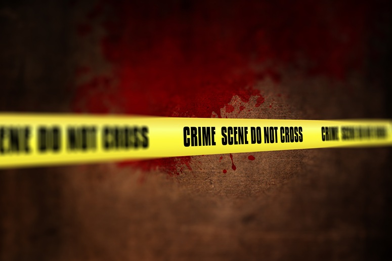What Makes a Crime High Level?